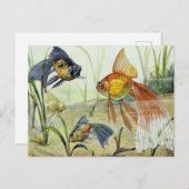 Carte Postale Art vintage poisson rouge (Devant / Derrière)