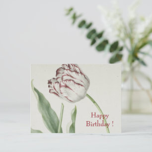 Carte Postale Art vintage, Tulipe blanche et rouge Anniversaire