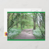 Carte postale Art Woodland Path 1 (Devant / Derrière)