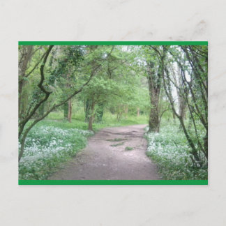 Carte postale Art Woodland Path 1