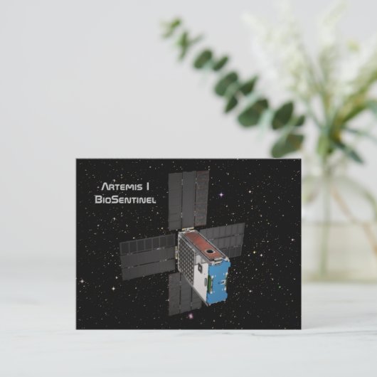 Carte Postale Artemis BioSentinel CubeSat (Debout devant)