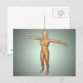 Carte Postale Artères, veines et système nerveux féminin (Devant / Derrière)