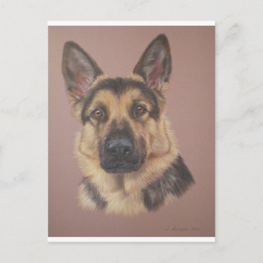 Carte Postale Arthur - Berger allemand (Devant)