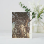Carte Postale Arthur Rackham | Never so weary, never so woeful (Debout devant)