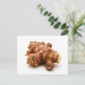 Carte Postale Artichaut de Jérusalem (Debout devant)