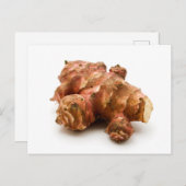 Carte Postale Artichaut de Jérusalem (Devant / Derrière)