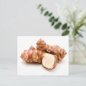 Carte Postale Artichaut de Jérusalem (Debout devant)