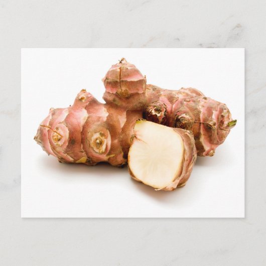 Carte Postale Artichaut de Jérusalem (Devant)