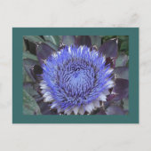 Carte postale Artichoke Bloom (Devant)