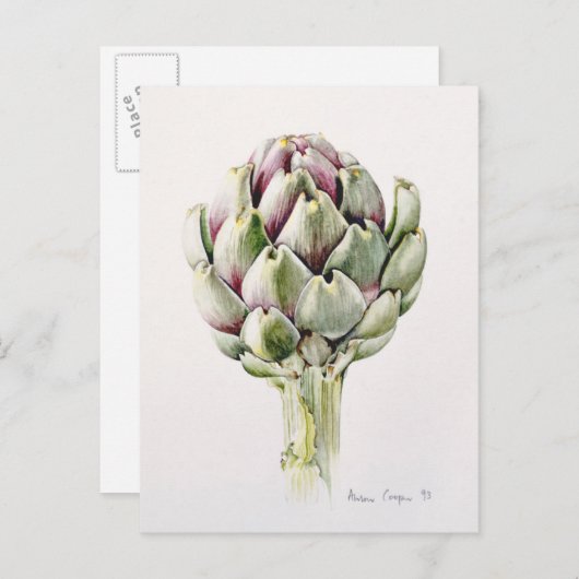 Carte Postale Artichoke Study 1993 (Devant / Derrière)