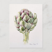 Carte Postale Artichoke Study 1993 (Devant)