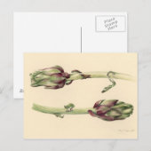 Carte Postale Artichokes 2005 (Devant / Derrière)