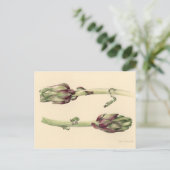 Carte Postale Artichokes 2005 (Debout devant)