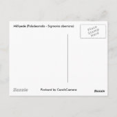 Carte Postale Articles de série Millipede (Dos)