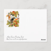 Carte Postale Artiste Féeries Peinture Fruit (Dos)