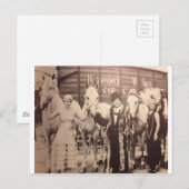Carte Postale Artistes du cirque et Chevaux blancs (Devant / Derrière)