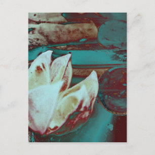 Carte Postale Artistic Water Lilly