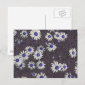 Carte Postale Artsy Daisies (Devant / Derrière)