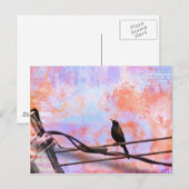 Carte Postale Artsy Grackle (Devant / Derrière)