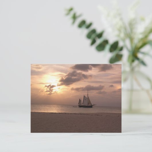 Carte Postale Aruba (Debout devant)