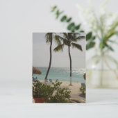 Carte Postale Aruba Baby Beach (Debout devant)