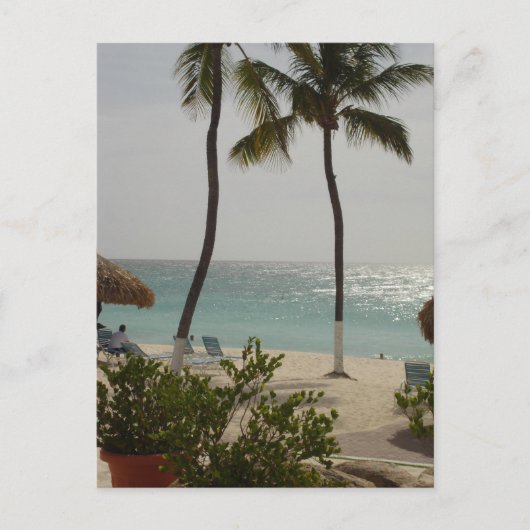 Carte Postale Aruba Baby Beach (Devant)