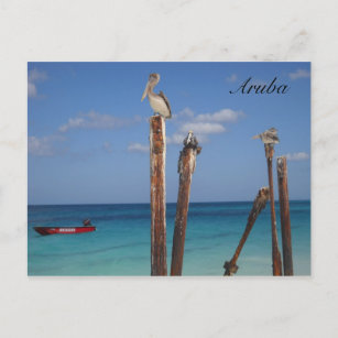 Carte postale Aruba, Ciel bleu au Paradis