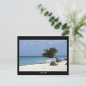 Carte Postale ARUBA fofofofoti (Debout devant)