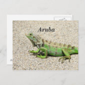 Carte Postale Aruba Green Iguana (Devant / Derrière)