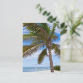 Carte Postale Aruba, palmier sur la plage (Debout devant)