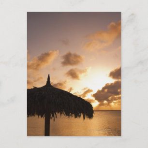 Carte Postale Aruba, silhouette de palapa sur la plage au couche