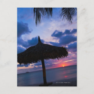 Carte Postale Aruba, silhouette de palapa sur la plage au couche