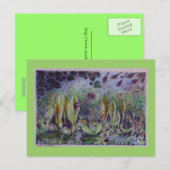 Carte Postale arum elfe (Devant / Derrière)