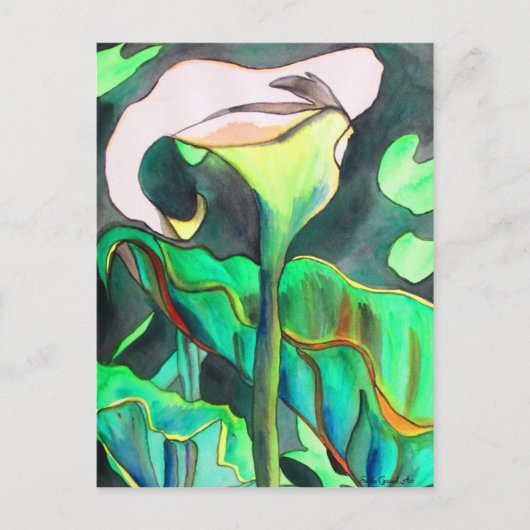 Carte Postale Arum Lily aquarelle peinture originale (Devant)