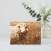 Carte Postale Ashley à Sepia (Debout devant)