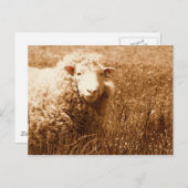 Carte Postale Ashley à Sepia (Devant / Derrière)