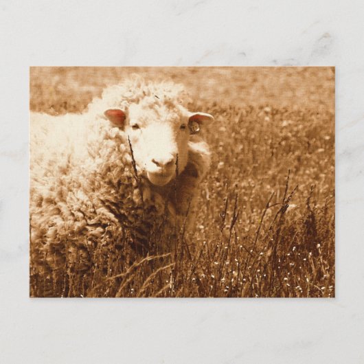 Carte Postale Ashley à Sepia (Devant)