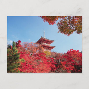 Carte Postale Asia, Japan, Kyoto. Autumn Colour