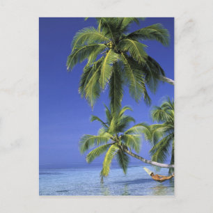 Carte Postale Asie, îles Maldives. Homme dans un hamac sur