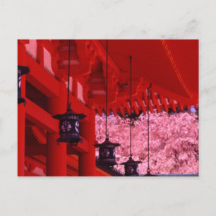 Carte Postale Asie, Japon, Kyoto, sanctuaire Heian au printemps.