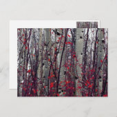 Carte Postale Aspect automnal (Devant / Derrière)