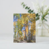 Carte Postale Aspect d'automne sur Pinyon Mesa (Debout devant)