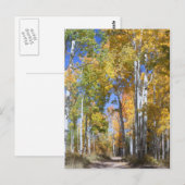 Carte Postale Aspect d'automne sur Pinyon Mesa (Devant / Derrière)