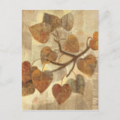 Carte Postale Aspen (Devant)