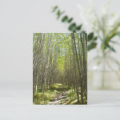 Carte Postale aspen du Flagstaff (Debout devant)