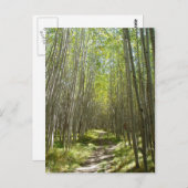 Carte Postale aspen du Flagstaff (Devant / Derrière)