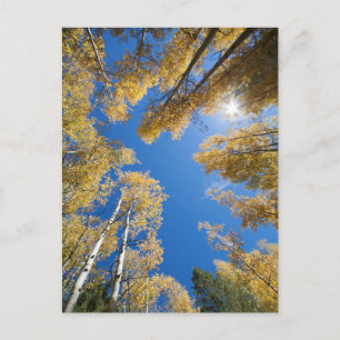 Carte Postale Aspen est tout autour