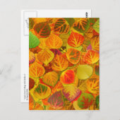 Carte Postale Aspen Feuilles Collage Solid Medley 1 (Devant / Derrière)