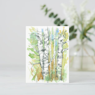 Carte Postale Aspen Trees Coeur sculpté écorce blanche Nature