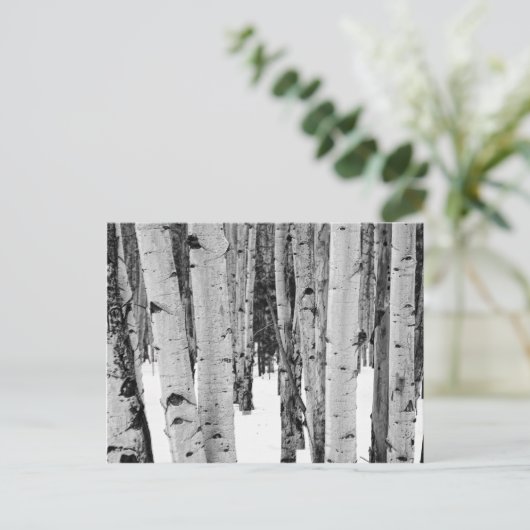 Carte Postale Aspens (Debout devant)